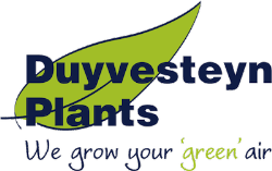 Duyvesteyn Plants